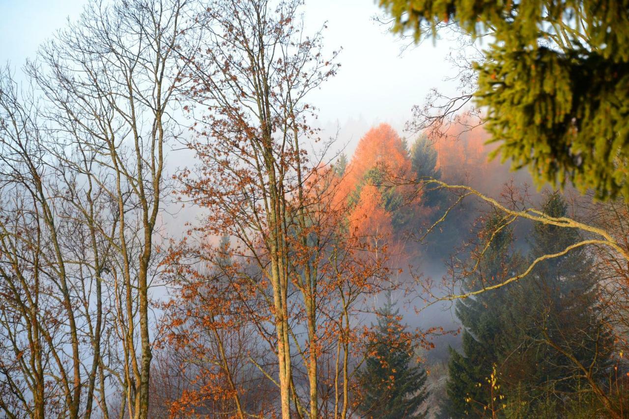 Gluehwuermchenhuette Villa Ratten Buitenkant foto