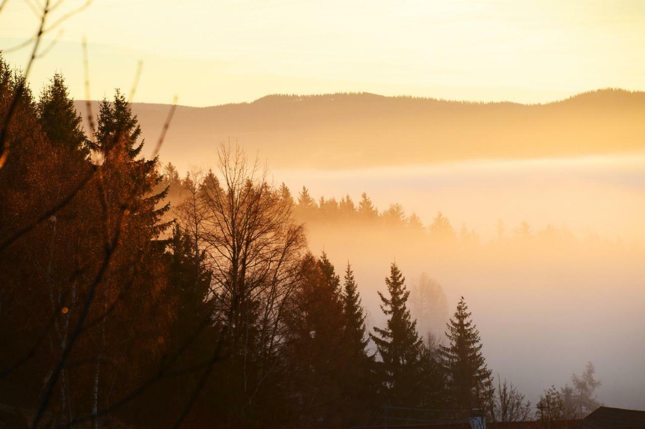Gluehwuermchenhuette Villa Ratten Buitenkant foto